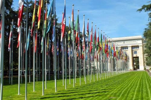 ADJNU - NATIONS-UNIES (11) 16395495201 l